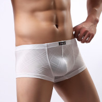 uploads/erp/collection/images/Underwear men/JIMEIJI/XU0114896/img_b/img_b_XU0114896_1__pqJ37sqX91O2ESN00R8F5LxeExYPw_s